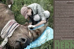 Advertising agency wins creativity awards for rhino saving ad