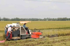 Nam Dinh fosters agriculture cooperation with Japanese locality