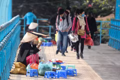 HCM City pilots street vending 