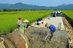 Kien Giang develops rural transport infrastructure 