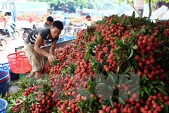 Fruit export surges in first five months