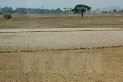 Severe water shortage forecast for central region in 2016