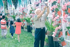 Floral fairs colour HCM City for Tet 