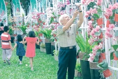 Floral fairs colour HCM City for Tet 