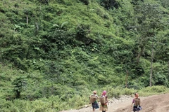 Cross-border human trafficking reduced: report