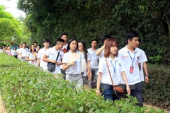 Summer camp for young Vietnamese expatriates