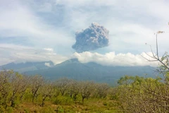 Indonesia evacuates over 1,000 tourists after volcano eruption 