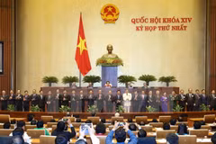 Vietnamese Government in 2016 – 2021 tenure