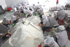 Salt from central region proved safe for consumption