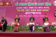 Dong Thap has 234 more heroic mothers 