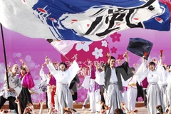 First Japanese cherry blossom festival held in Da Nang 
