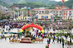 Tra hoa vang festival opens in Quang Ninh 