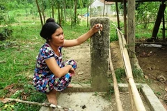 Ca Mau: Over 8,000 households in urgent need of fresh water
