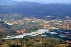 Da Lat plans to build 490ha safari park