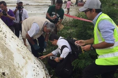 Malaysia confirms debris found off Thailand not from MH370