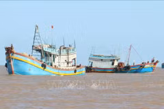 Ben Tre strives to meet fishing vessel registration requirements (Photo: VNA)