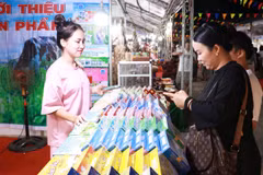 The Trans-Asia Bridge trade-tourism fair 2024 opened in Quang Tri central province’s Dong Ha city on June 6. (Photo: VNA)