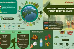 10km trekking trail through pristine forests on Cat Ba Island