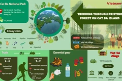 10km trekking trail through pristine forests on Cat Ba Island