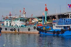 New decrees contribute to perfecting anti-IUU fishing regulations