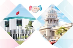 Vietnam-Cuba special friendship