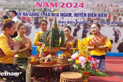 Water festival celebrated in Dien Bien