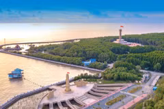 Ca Mau Cape World Biosphere Reserve boasts distinctive values