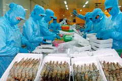 Vietnam’s fishery products standing firm in Singapore