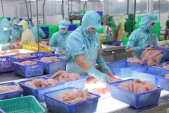 Fishery export grows 6.5% in five months