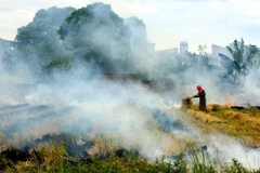 Vietnam determined to reduce GHG emissions by 9 percent in 2030