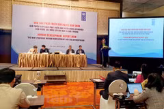 Vietnam breaks into high human development category group for first time