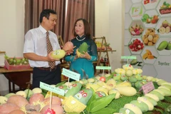 An Giang province promotes agro-fishery exports