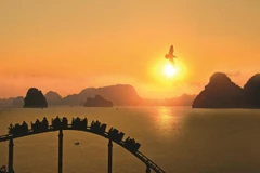 Ha Long Bay at dawn. (Photo: VietnamPlus) 