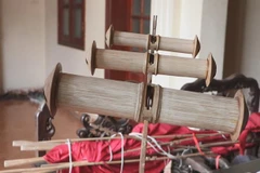 Kite making preserves Vietnamese rural souls
