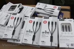 Hard nut to crack in origin fraud fight in Vietnamese products