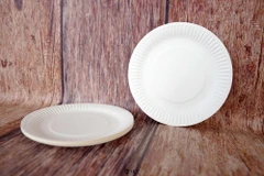 US initiates anti-dumping investigation on Vietnamese paper plates