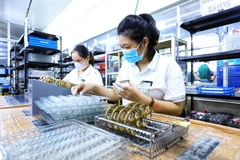 Strong economic growth expected in Q1: GSO official