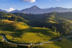 Lao Cai targets 8.5 million tourist arrivals in 2024