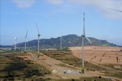 Energy development must go hand-in-hand with economic growth: Insiders 