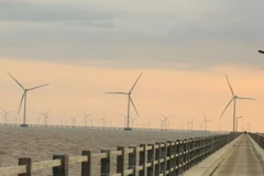 Green hydrogen development opens up opportunities for carbon credit exports