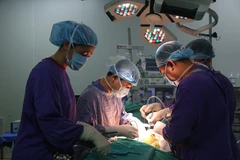 Brain-dead donors save 8 lives 