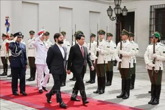 Vietnamese President Luong Cuong (right) and his Chilean counterpart Gabriel Boric Font inspect the guard of honour in Santiago on November 11. (Photo: VNA)