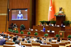 SBV Governor Nguyen Thi Hong speaks at the question-and-answer event of the 15th National Assembly’s 8th session on November 11. (Photo: VNA)