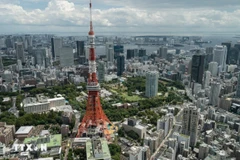 A view of Tokyo, Japan (Photo: AFP/VNA)