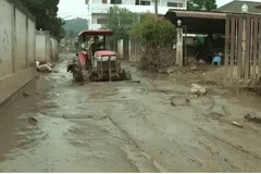 Thailand pilots methods to tackle mud post flooding (Photo: world.thaipbs.or.th)