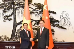 Vietnamese Deputy Prime Minister and Foreign Minister Bui Thanh Son (L) and Chinese Vice President Han Zheng meet in Beijing on December 10. (Photo: VNA)