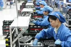 Employment in the ICT industry of Malaysia has increased by 1.6% to 1.24 million people in 2023. (Photo: freemalaysiatoday.com) 
