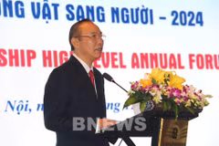 Deputy Minister of Agriculture and Rural Development Phung Duc Tien (Photo: VNA)