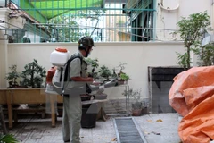 Dong Nai raises awareness of Zika among workers 