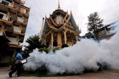 Thailand considers free Zika tests for all pregnant women 